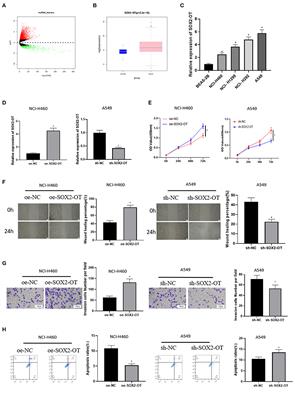 LncRNA SOX2-OT/miR-30d-5p/PDK1 Regulates PD-L1 Checkpoint Through the mTOR Signaling Pathway to Promote Non-small Cell Lung Cancer Progression and Immune Escape